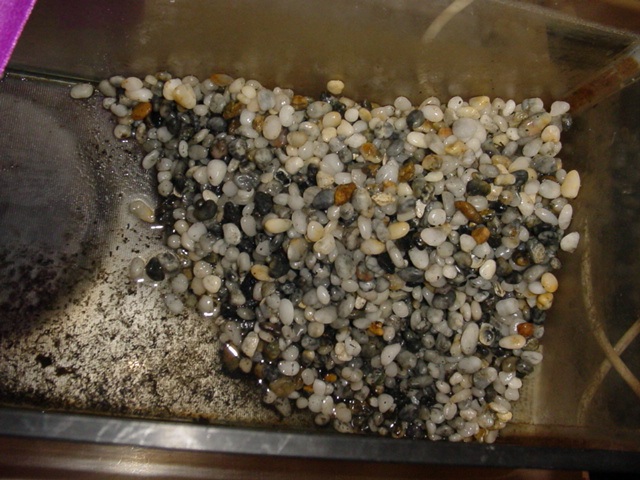 This photo clearly shows the gravel in the otherwise empty fishtank