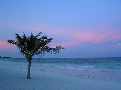 ocean sunset beach water colors mexico hotel honeymoon resort palmtree rivieramaya grandpalladium