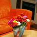 zinnia bouquet    MG 2899