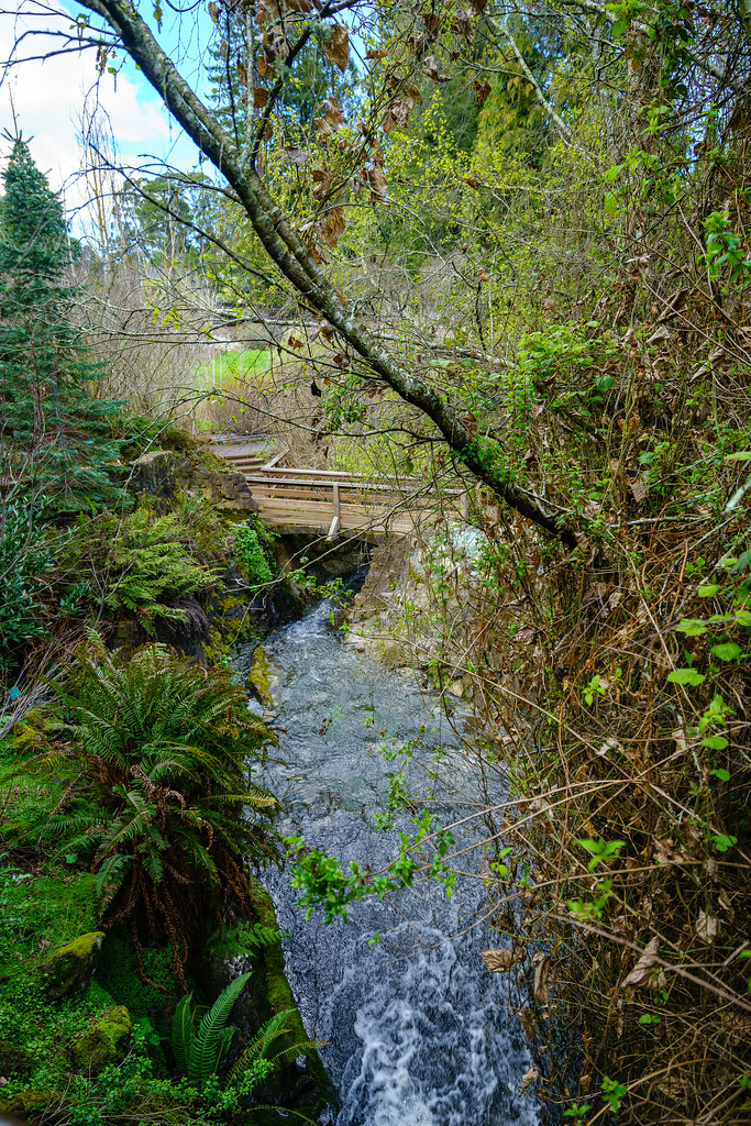 Tilden Park Botanical Garden Steve Shupe Flickr