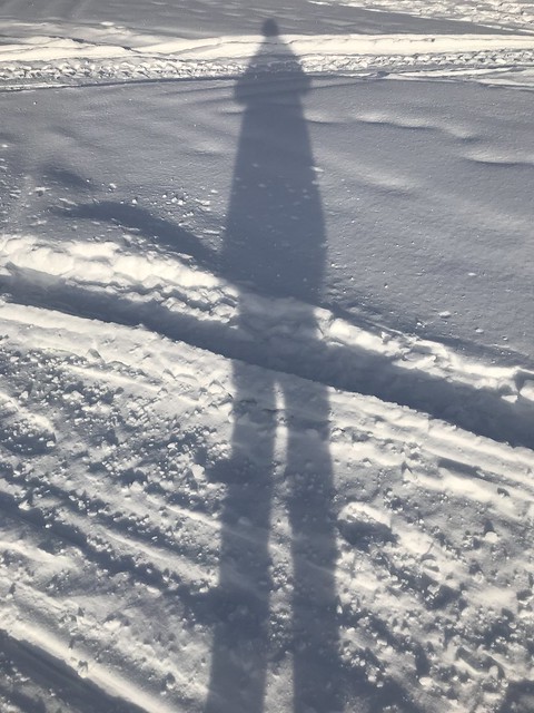 shadow on the snow