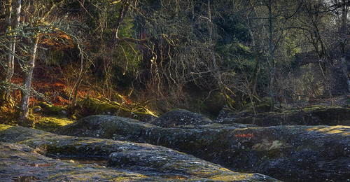 rocks trees river bridge buchantyspout buchanty perthshire scotland nikond7200 sigma350mmf14 panorama
