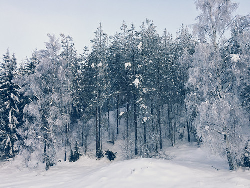 elisabethredlig snow winter nature roads trees sweden north nordic cold blue europe landscape sky scenery outdoors iphone iphoneography