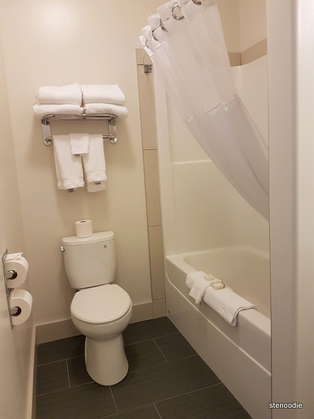 Chateau Nova Yellowknife Hotel bathroom