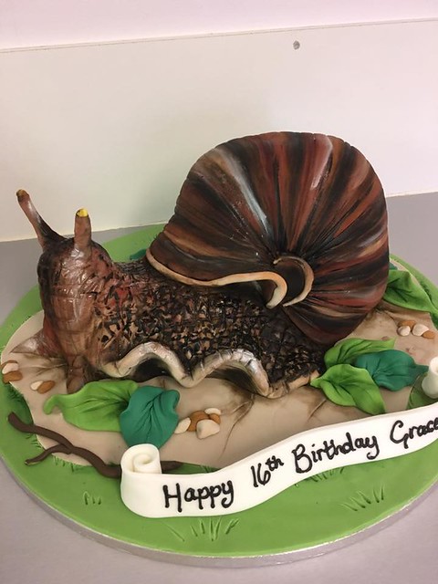 Giant Snail Cake by cake magic