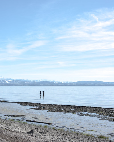water calm lake constance alps mountains view perspective shore bank waterfront lowtide