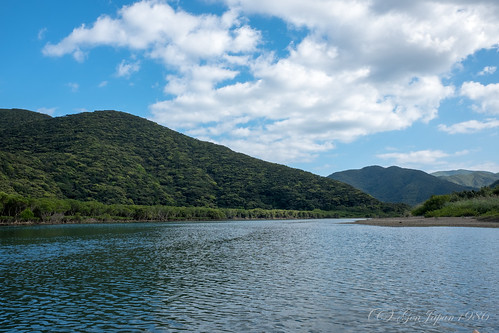 2018 マングローブ 奄美大島 奄美市 旅行 離島 風景 鹿児島県 日本 island kagoshima japan amamioshima landscape river fujifilmx70