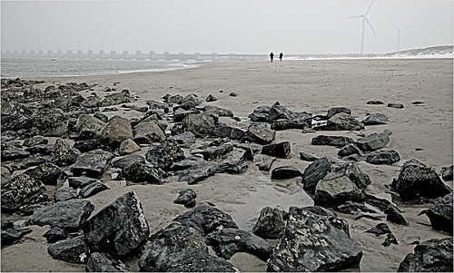 claudelina nederland hollande paysbas zeeland debanjaard plage dune merdunord noordzee zeelande