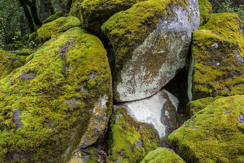 ca sodabay moss kelseyville clearlake lichen kelseyslough california green clearlakestatepark unitedstates flickr rocks us hdr