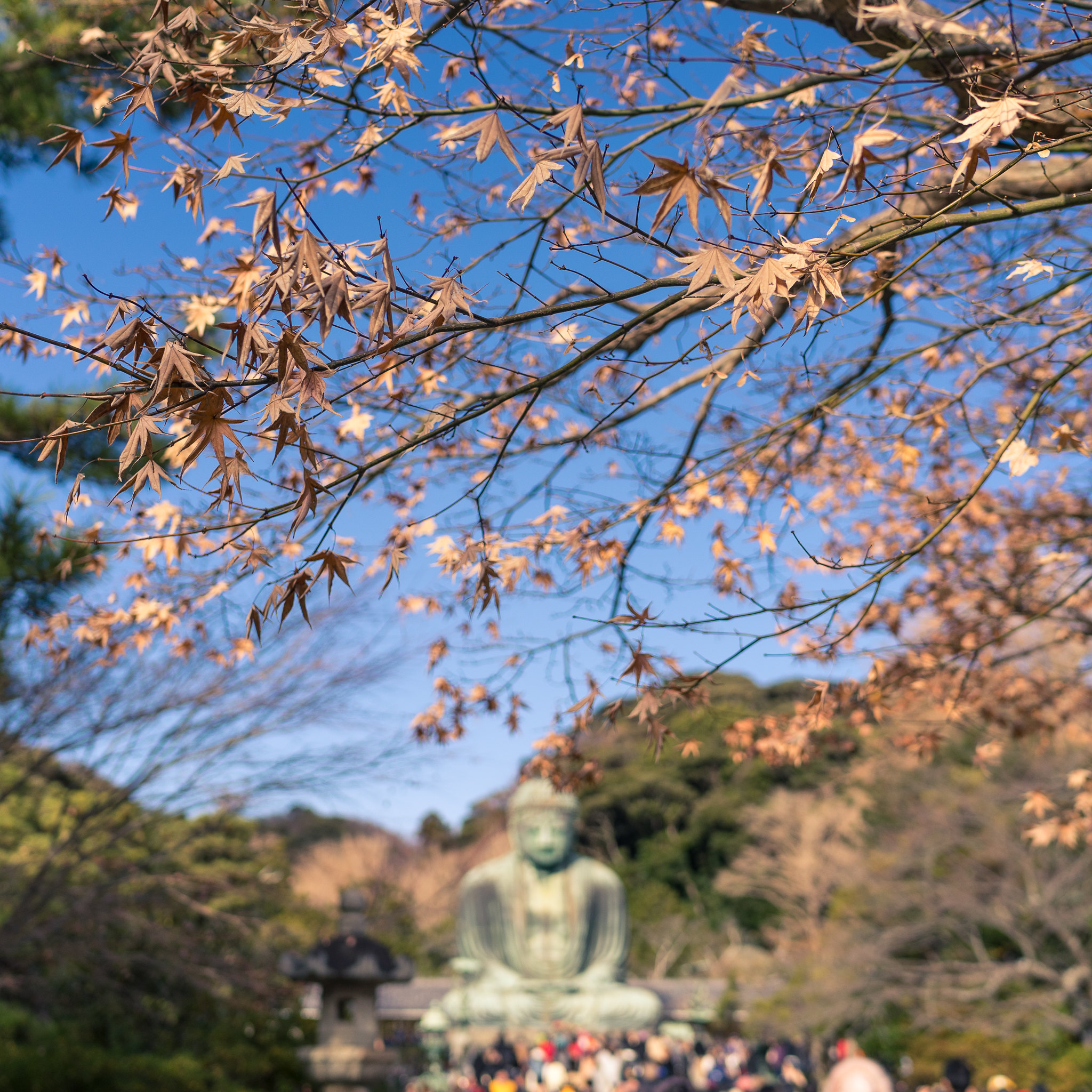 Kōtoku-in - Great Buddha of Kamakura