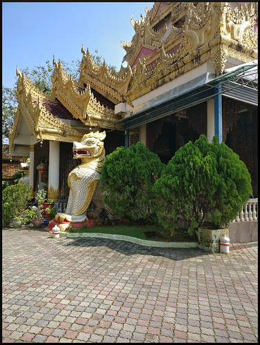 Templos y naturaleza en Siem Reap y costa oeste de Malasia - Blogs de Asia Sudeste - Georgetown, ciudad colonial (59)