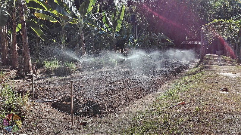 ระบบน้ำเพื่อการเกษตรในสวนโสทร