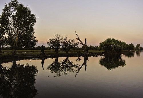 australien sonnenuntergang northernterritory kakadunationalpark yellowwater fluss river bäume trees spiegelungen reflections wasser water natur nature outside australia nikon1v1 kati katharina