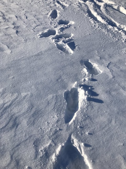 OMB, shoes prints on the snow