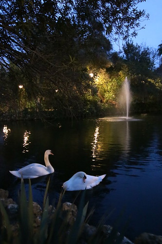 40899101631 de1d167410 - Rincón del Parque de Maria Luisa en Sevilla