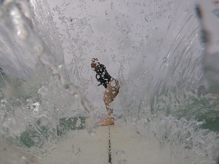 Beth surfing in Honolulu