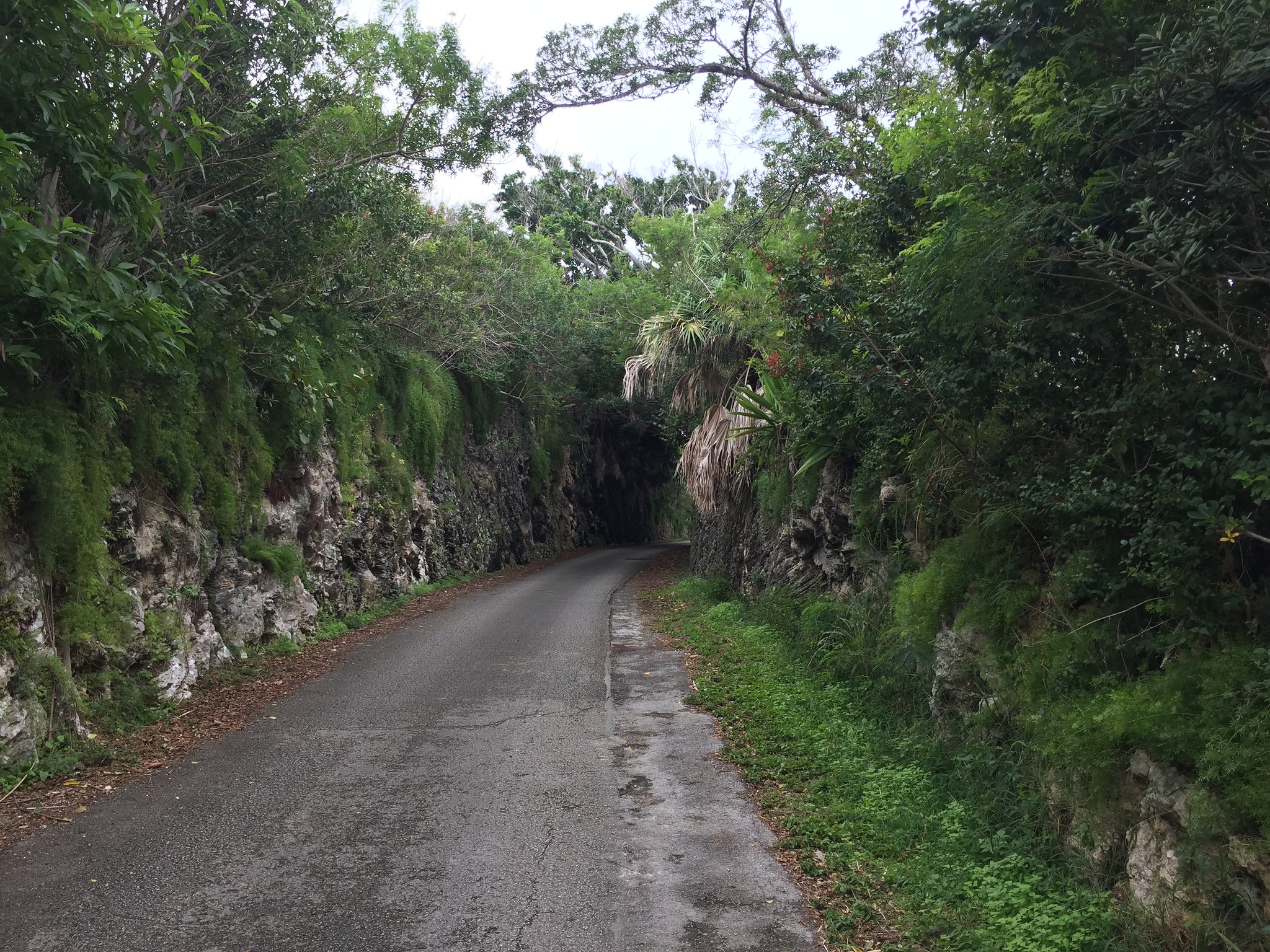 Bermuda Railway Trail