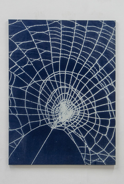 Shed - Cyanotype on Canvas - 2018