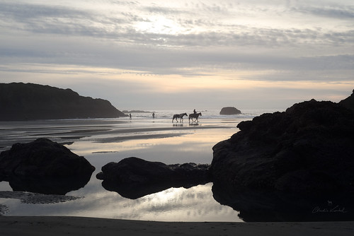 oregon sunset meyersbeach horse beach pacificocean rider coast lowtide