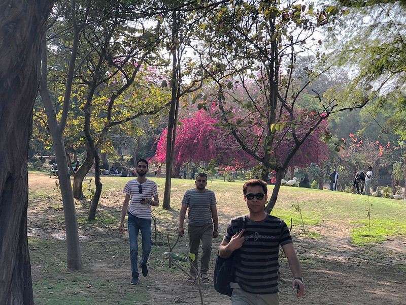 City Moment - Friends from Kabul, Lodhi Gardens