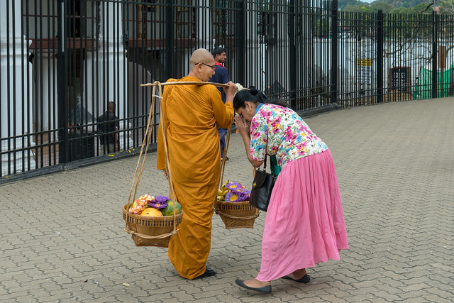 Buddhist Nun