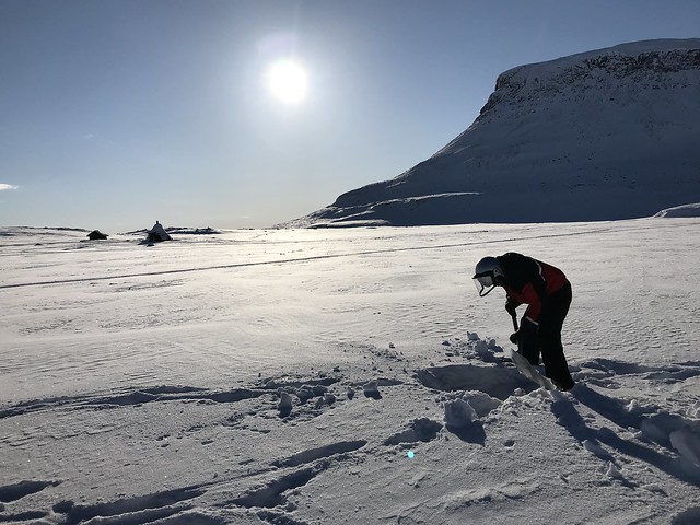 Edmund digging a hole,  Saana lake, Finland