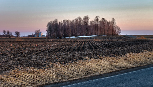 raw photoshopped tonemapped saintvalentin agriculture cornfield field landscape sunset spring trees explore