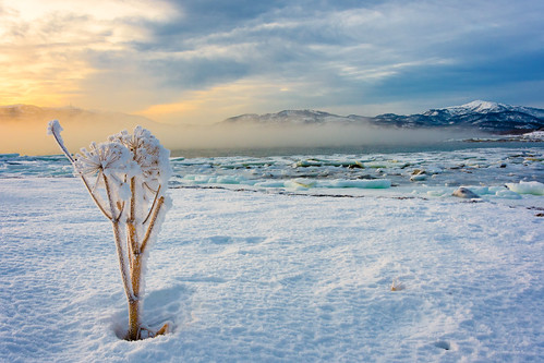 tromsø troms norwegen norway ice snow flower landscape landscapephotography tromsö fog mist nebel lake see fjord