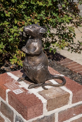 roadtrip unitedstates usa southcarolina conway conwaysc bronzesculpture sculpture publicart maisiethemouse brittanyclark mouse bronzemouse
