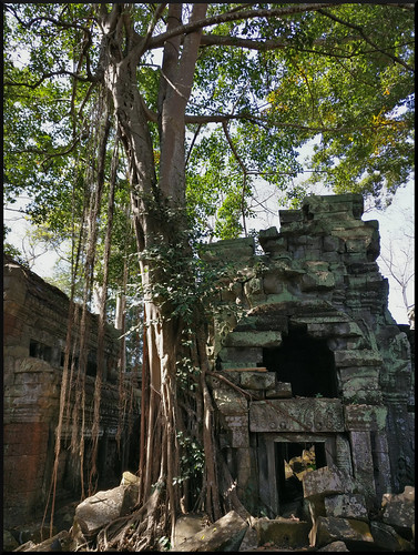 Templos y naturaleza en Siem Reap y costa oeste de Malasia - Blogs de Asia Sudeste - Siem Reap y los templos de Angkor (44)