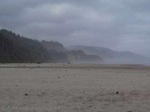 Looking south along the misty coastline of Arcadia Beach, Oregon