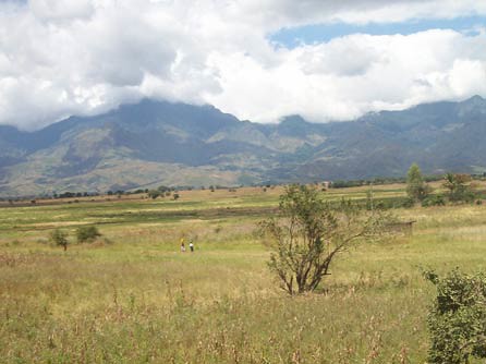 tanzania joe research valley environment frontier downie kilombero kvtc