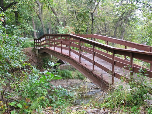 park bridge trees creek footbridge redwoodfallsminnesota alexanderramseypark