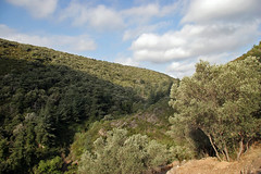 Hills near Lastours