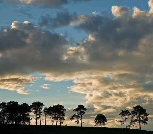 trees sunrise d50 scotland nikon aberdeenshire balloch alford cairnballoch stronehill