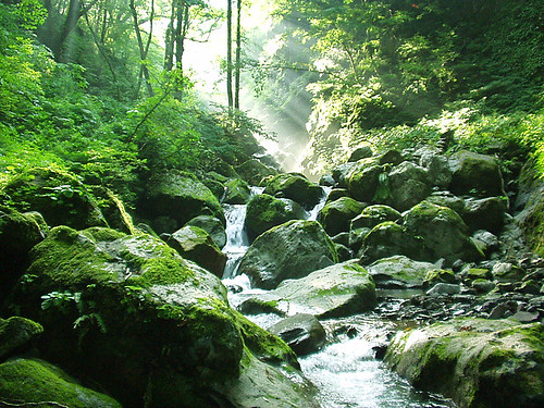 japan forest stream 日本 渓谷 kirigataki 霧ヶ滝