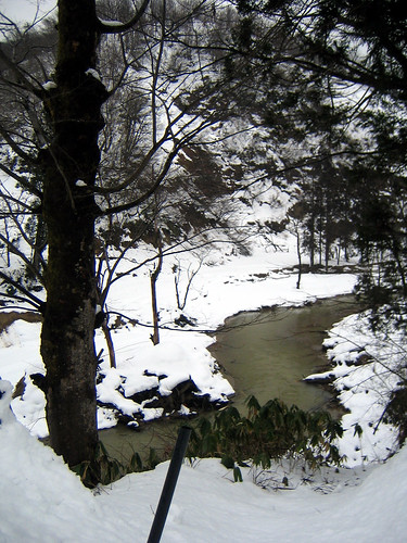 winter snow japan geotagged niigata yamakoshi geo:lat=37309867 geo:lon=138908858