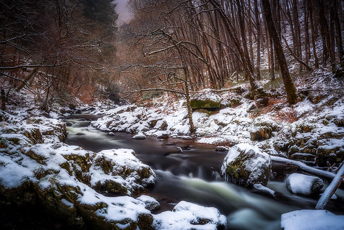 woodland leaves perthshire landscape winter river forest water nisifilters scotland longexposure canon trees countryside snow comrie unitedkingdom gb