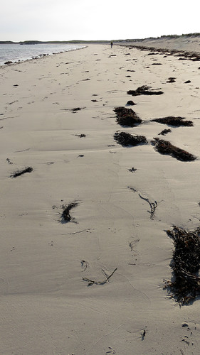 Long stretch of sand at Gurteen Beach near Roundstone in Ireland