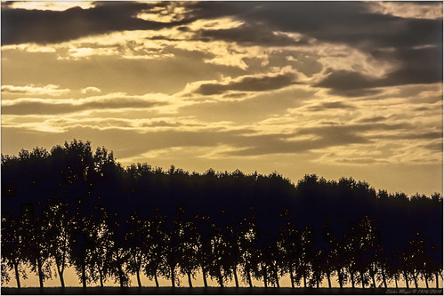 abend donau metten deggendorf bayern deutschland germany bäume baumreihe sunset wolken clouds