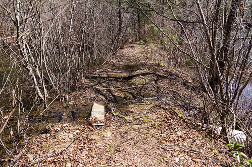 Persimmon Headwaters Tract paths - 06