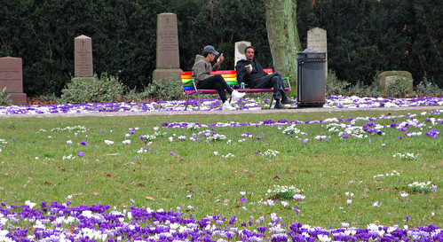 Chillin on the rainbow bench