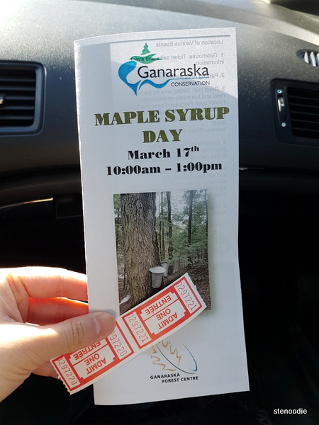 Maple Syrup Day 2018