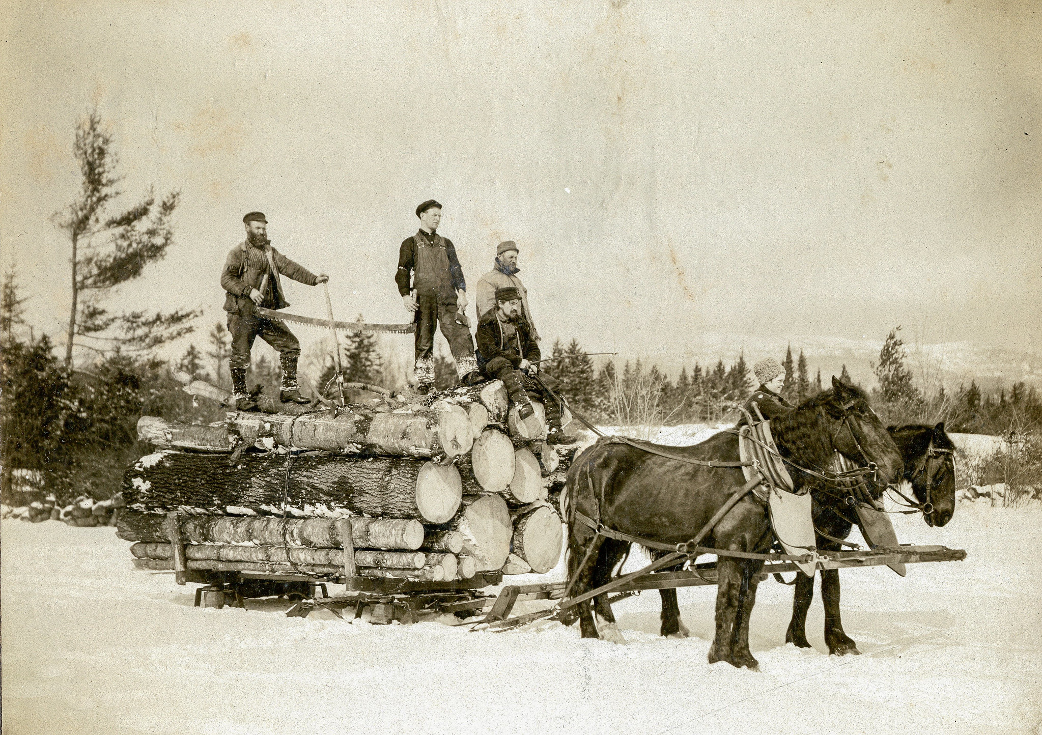 Logging Team