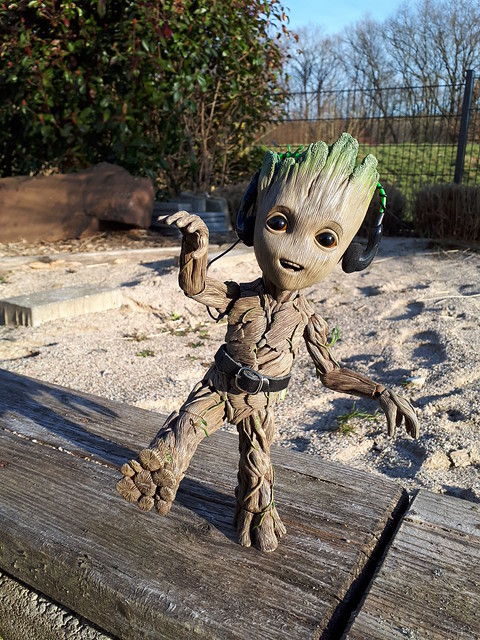 Hot Toys Life Size Baby Groot - *At the German North Coast* (1 Nov 2022) - Page 2 27083751158_e14d57981a_z