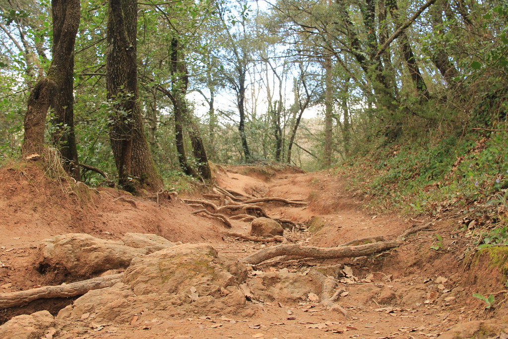 Rocky climbs through forests, Garrotxa Natural Park