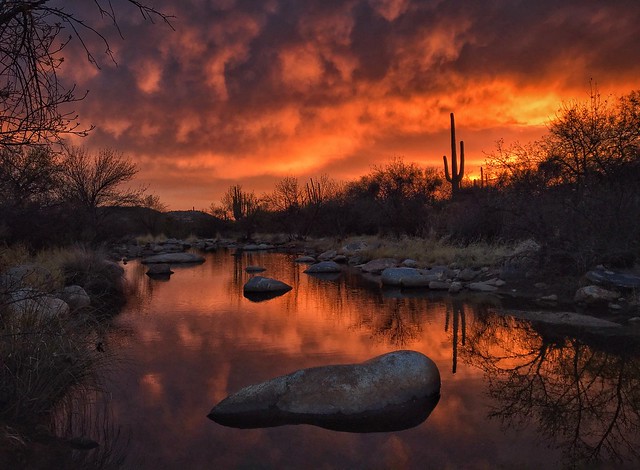 Just after sunset, where the creek exits the desert canyon...