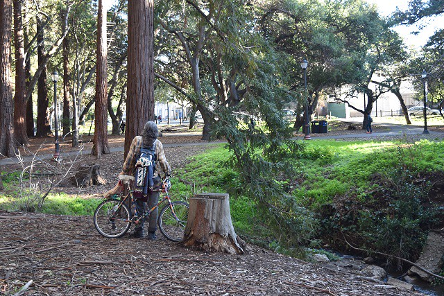 6 Eucalyptus Grove, UCB Campus, photo Geoffrey Davies