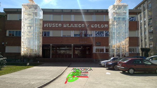 MUSEO BLANCO Y COLOR