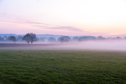 sunrise sussex field trees mist england uk